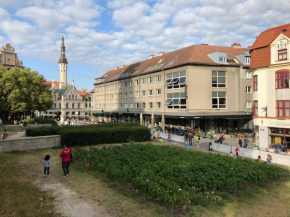 Vanalinna Apartment, Tallinn